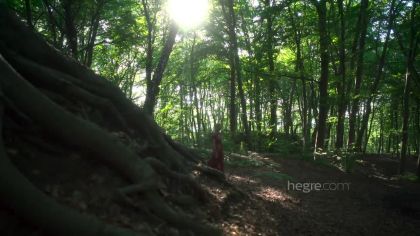 Обнажение после приятной прогулки №5